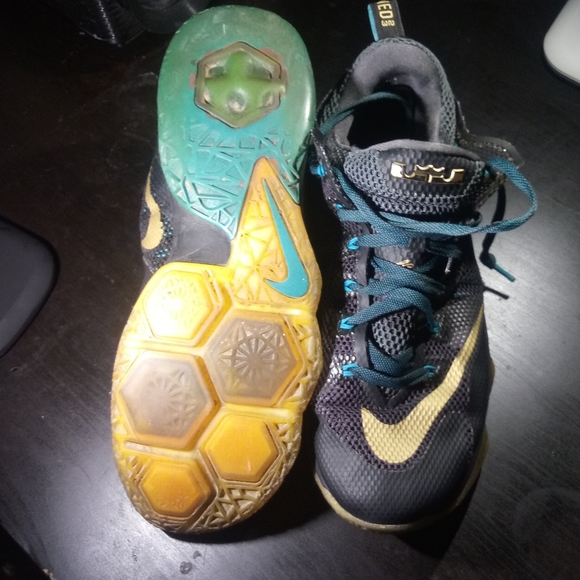 LeBron 12 SVSM - Picture 4 of 4